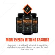 Legion Phoenix Caffeine Free Fat Burner Supplement - Best Thermogenic Weight Loss Pills for Men & Women All Natural Metabolism Booster & Appetite Suppressant Safe & Healthy 30 Servings Legion Phoenix Caffeine Free Fat Burner Supplement - Best Thermogenic Weight Loss Pills for Men & Women All Natural Metabolism Booster & Appetite Suppressant Safe & Healthy 30 Servings