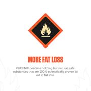 Legion Phoenix Caffeine Free Fat Burner Supplement - Best Thermogenic Weight Loss Pills for Men & Women All Natural Metabolism Booster & Appetite Suppressant Safe & Healthy 30 Servings Legion Phoenix Caffeine Free Fat Burner Supplement - Best Thermogenic Weight Loss Pills for Men & Women All Natural Metabolism Booster & Appetite Suppressant Safe & Healthy 30 Servings