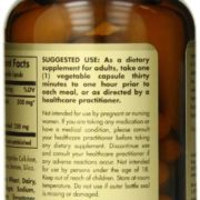 Solgar Hydroxycitrate Vegetable Capsules, 60 Count