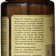 Solgar Vitamin B1 Thiamin Vegetable Capsules, 100 mg, 100 Count